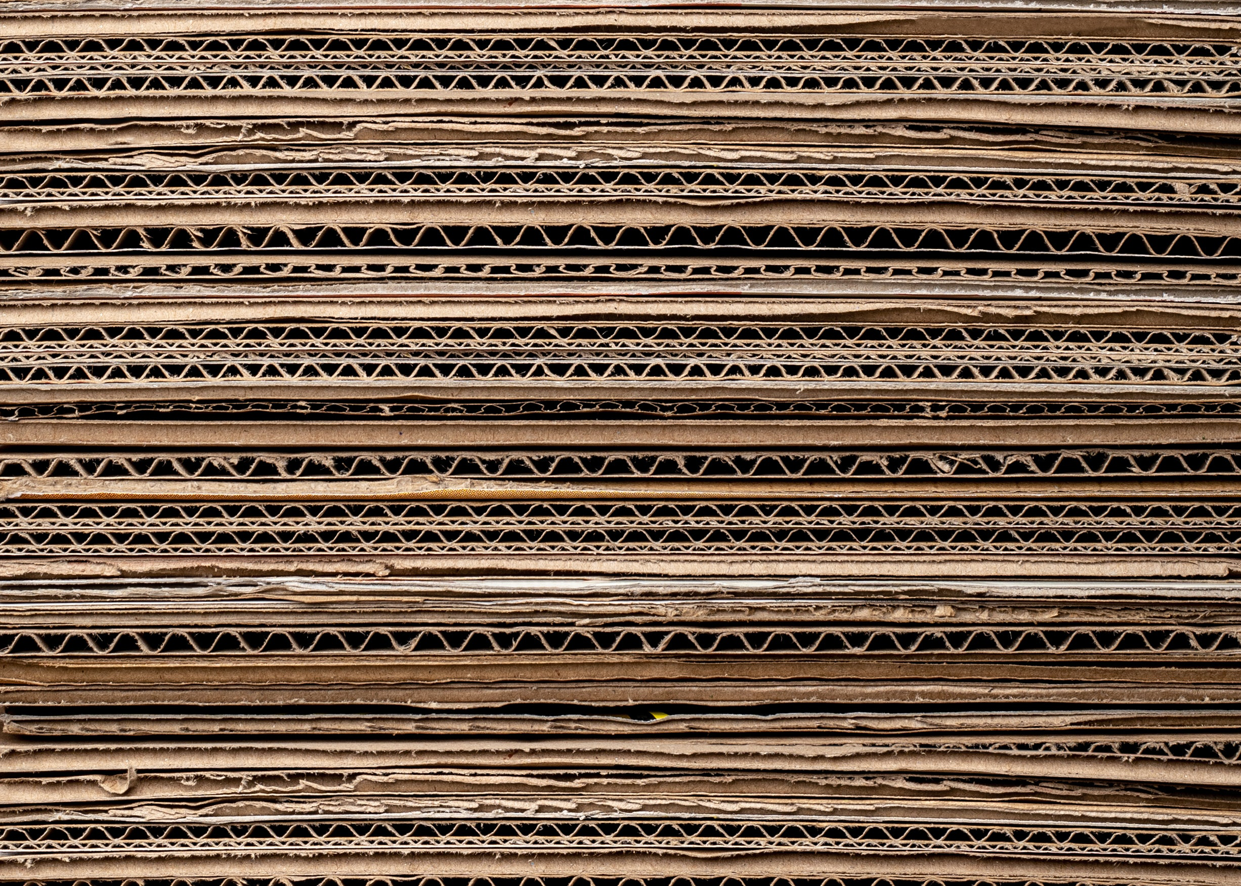 Software ERP para empresas de packaging de cartón